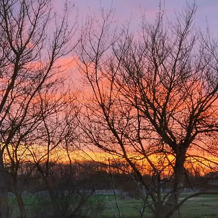 Sonnenblumen Больтенхаген