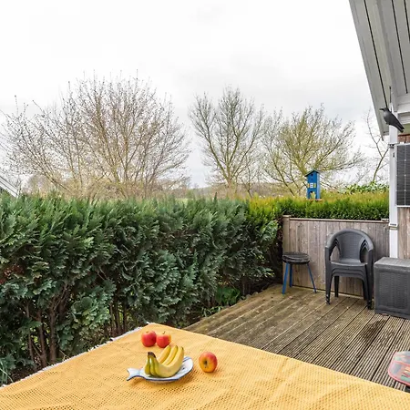 Sonnenblumen * Больтенхаген