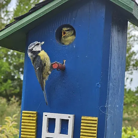 Дом отдыха Sonnenblumen