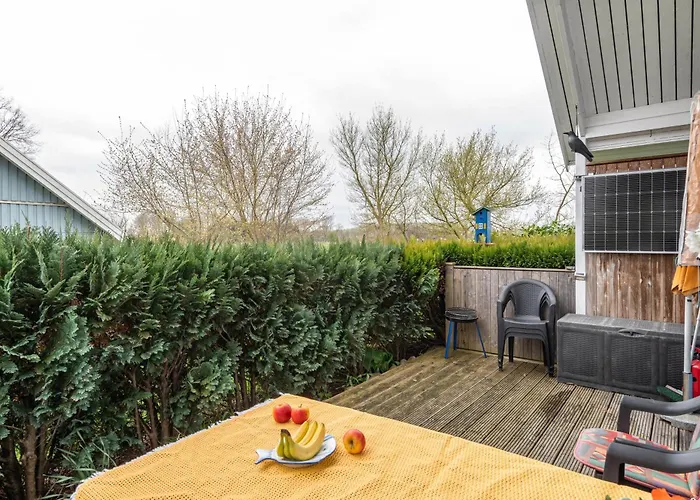 Sonnenblumen * بولتينهاجين