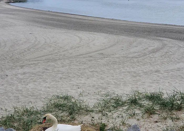 بيت للعطل Sonnenblumen بولتينهاجين