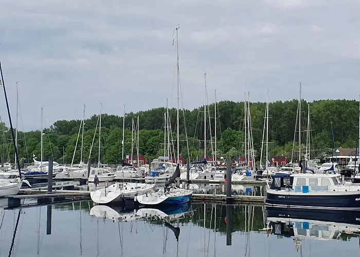 بيت للعطل Sonnenblumen